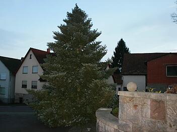 Weil die Leiter kaputt ist, konnte der Christbaum bisher noch nicht geschmückt werden. Foto: Gabriele Sell