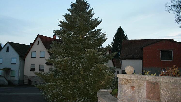 Weil die Leiter kaputt ist, konnte der Christbaum bisher noch nicht geschmückt werden. Foto: Gabriele Sell