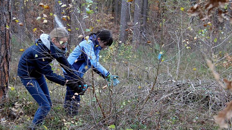 Realschüler bei der Waldarbeit Richard Sänger
