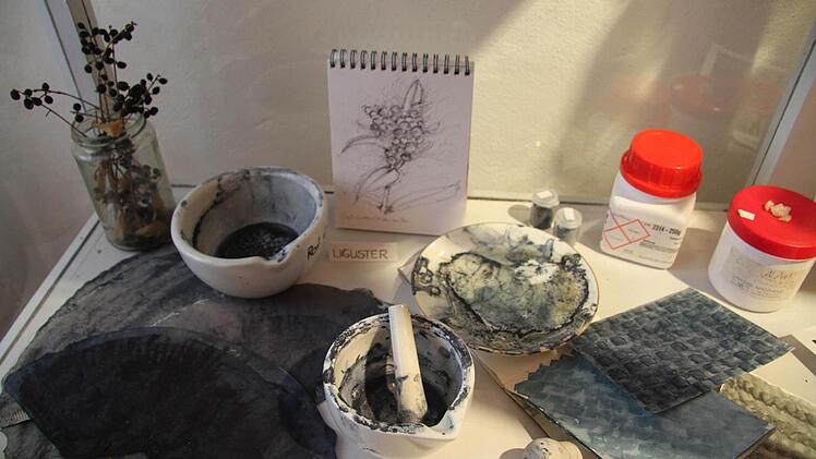 Die Künstlerhin gibt Einblicke in die Entstehung der Kunstwerke. Sie zeigt ihre Skizzenbücher und viele Fotos.