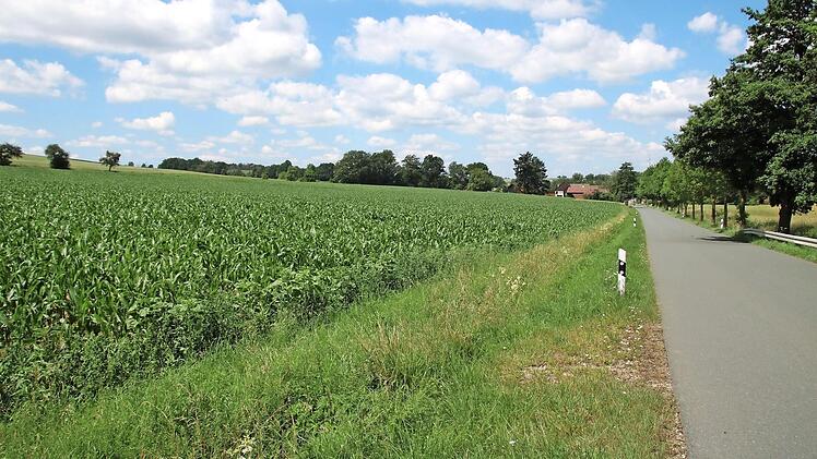 Auf dem Feld links siedelten die Menschen vor vielen Jahrtausenden - im Hintergrund ist der Dorfrand von Püchitz zu sehen.