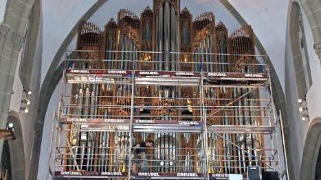Die Schuke Orgel in der Herz-Jesu-Kirche ist ein gewaltiges Instrument mit rund 3500 Pfeifen.