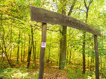 In der Urlaubregion an der Nahe in Rheinland-Pfalz können herrliche Natureindrücke genossen werden - besonders schön ist die Region jetzt im Herbst.