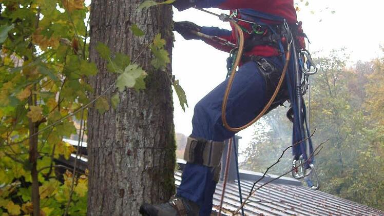 ... oder am Baum: Bergwacht-Helfer sind immer gesichert.