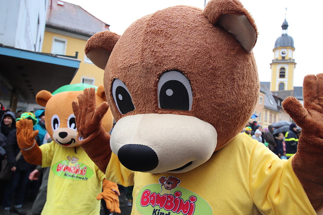 Landkreis Faschingszug