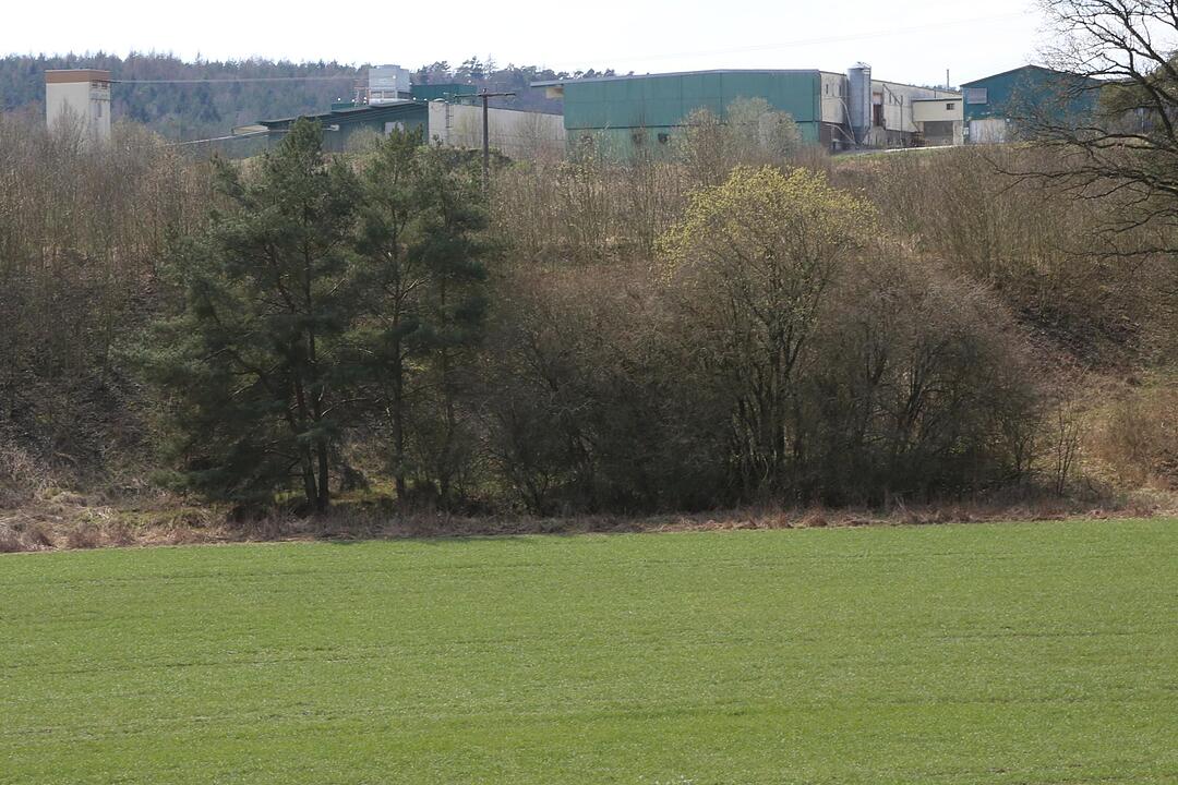 SoS Buchfeld im Lkr. H?chstadt; Foto: Barbara Herbst