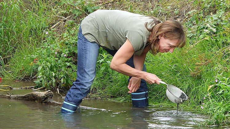 Sabine Martinez sucht am Ufer der Rodach nach Insekten und kleinen Fischen.