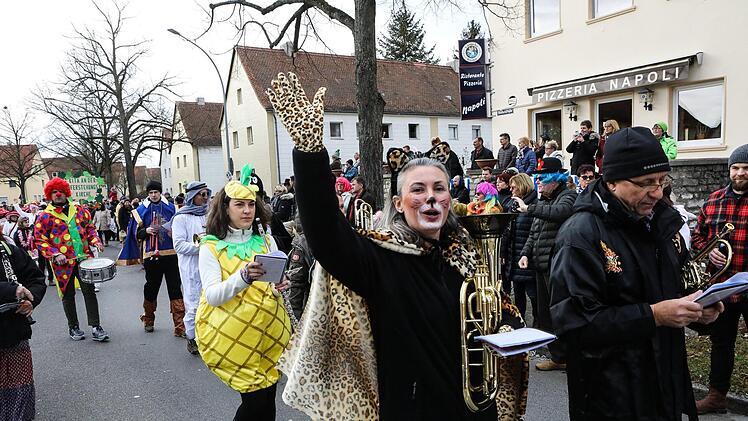 Faschingsumzug in der Bamberger Gartenstadt Foto: Barbara Herbst