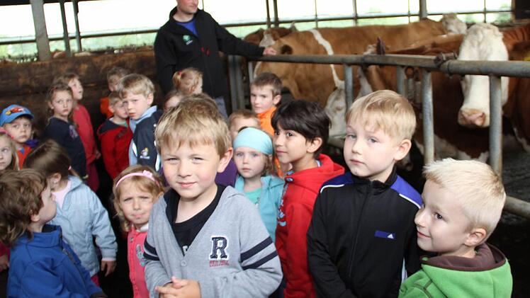 Im Kuhstall gibt es viel zu entdecken.