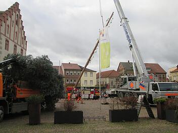Der Zunftbaum musste dem Christbaum weichen. Vier Schwerlast-Fahrzeuge und ein Dutzend Männer wurden für den Wechsel benötigt.