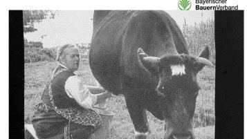 Historische Aufnahmen, die der BBV zur Verfügung gestellt hat.