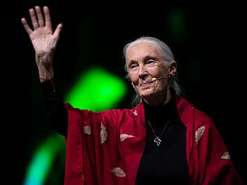 Primaten-Forscherin Jane Goodall ist tot