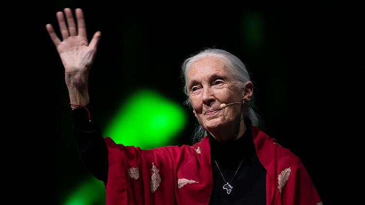 Primaten-Forscherin Jane Goodall ist tot