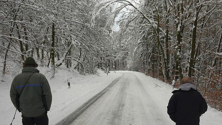Die Bäume biegen sich über die Straße am "Effelder Berg".