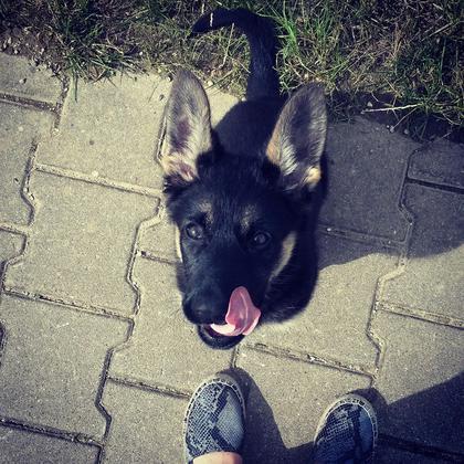 Foto: Katrin He