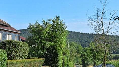Als Abkürzung zum Kordigast wird dieser schmale Weg gerne genutzt. In der Ortsversammlung kam deshalb eine Geschwindigkeitsbeschränkung in die Diskussion.  Fotos: Dieter Radziej