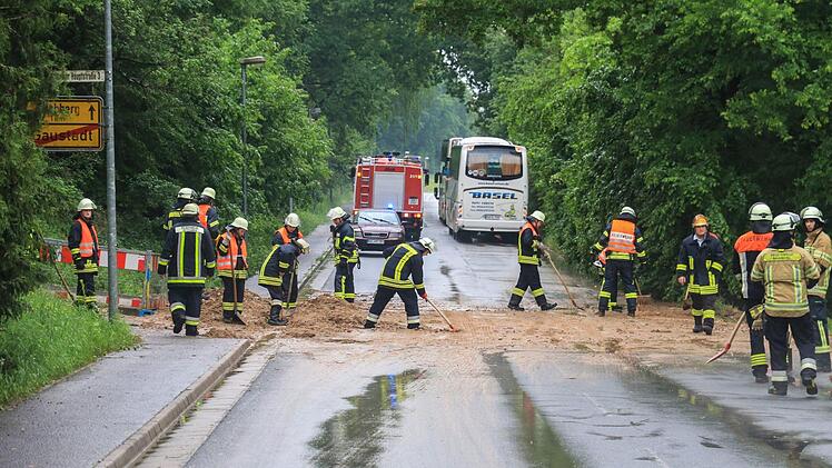 Foto: News5/Merzbach