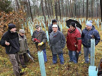 Forstreferendar Thomas Roitsch (links) erläutert einer Gruppe von Waldbauern den Umgang mit "Wuchshüllen". In den blauen  Schutzkartons, die  später verrotten, können  sich die Waldpflanzen in den ersten Jahren nach der Pflanzung gut entwickeln. Foto:  Barbara Herbst