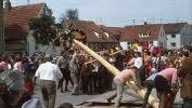 Maibaumaufstellen vor 40 Jahren. Fotos: Archiv/Arnold Nöth