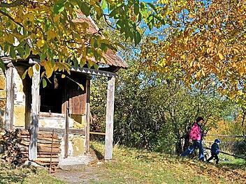 Im Dörrhäuschen aus Schlichenreuth im Landkreis Forchheim werden Zwetschgen und Birnen über dem Holzfeuer gedörrt.