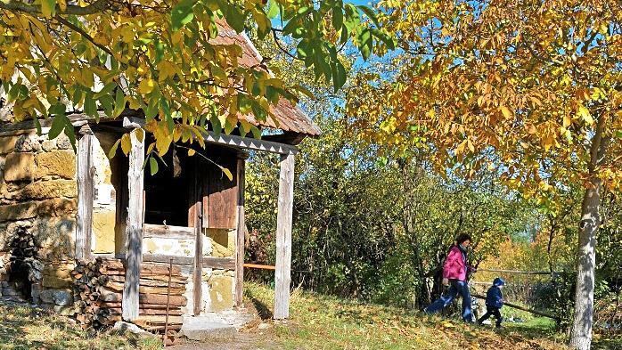 Im Dörrhäuschen aus Schlichenreuth im Landkreis Forchheim werden Zwetschgen und Birnen über dem Holzfeuer gedörrt.