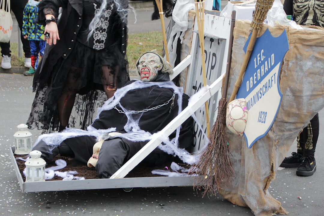 Faschingsumzug in Oberhaid
