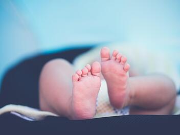 Ein zehn Monate altes Baby wurde am Sonntag schwer verletzt. Es war zum Zeitpunkt eines Autounfalls nicht angeschnallt. Symbolfoto:  unsplash.com/Janko Ferlic