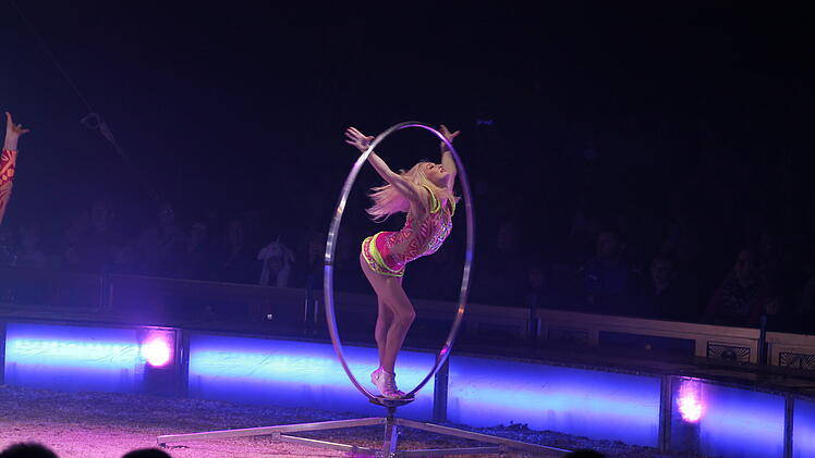 Coburg: Circus Krone feiert Premiere - Tierschützer kündigen Protestaktion an