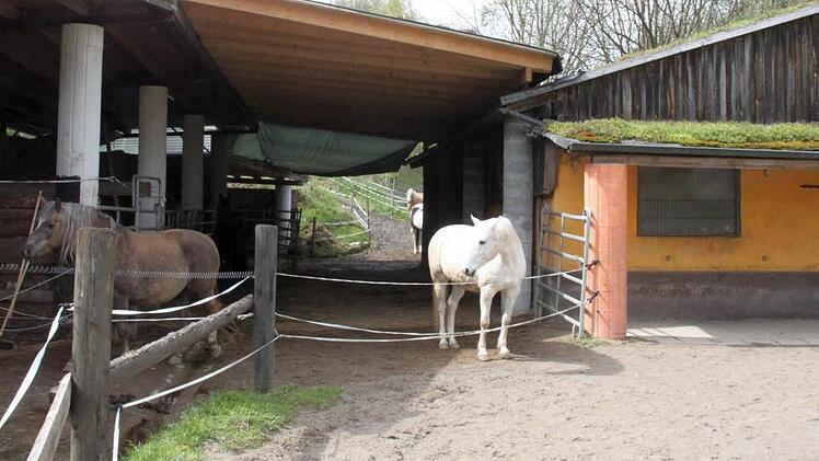 Die Überdachung des Offenstalls ist einer der Streitpunkte, doch das Ehepaar Hugel aus Ebersbach kämpft generell um eine Anerkennung als landwirtschaftlicher Betrieb. Bislang vergebens. Fotos: Jochen Nützel
