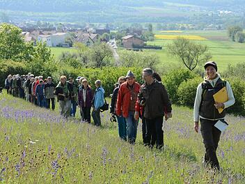 Über eine Magerwiese mit Wiesensalbei führt die Exkursion mit Katja Winter am Hammelberg.  Fotos: Elisabeth Assmann