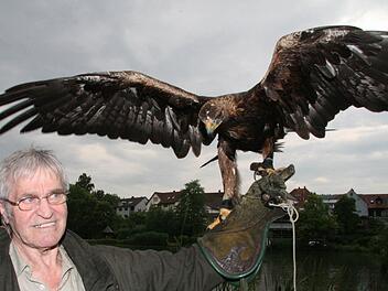 Falkner Albert Triebel mit einem Steinadler vor dem Thurnauer Schlossweiher.  Fotos: Jürgen Gärtner
