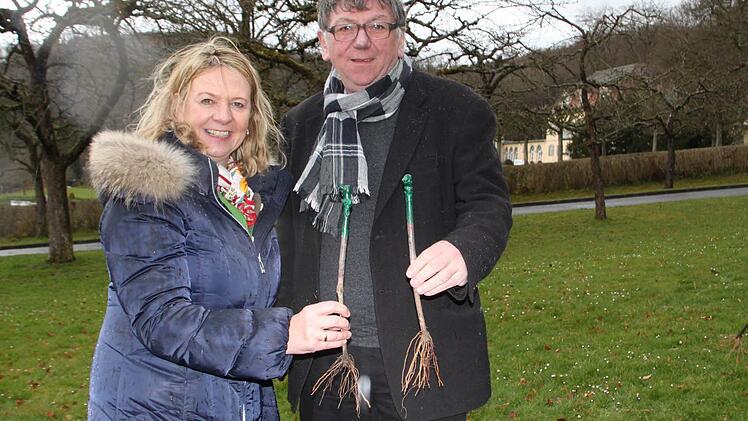 Kurdirektorin Andrea Schallenkammer und Michael Jansen, Weingutsdirektor des Staatlichen Hofkellers Würzburg, zeigen die Pfropfreben, die im Staatsbad Bad Brückenau gepflanzt werden. Foto: Ulrike Müller