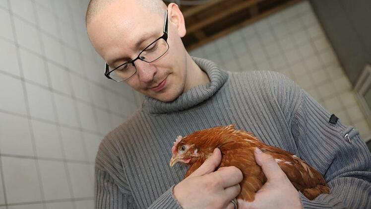 Rainer Merz zeigt das "Ohrläppchen" des Huhns. Foto: Barbara Herbst