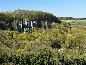 Ein Idyll: Blick von der "Dragonerspitze" aus auf den Klettergarten und die "Almadler-Hütte" bei Buttenheim.  Fotos: Martin Renger