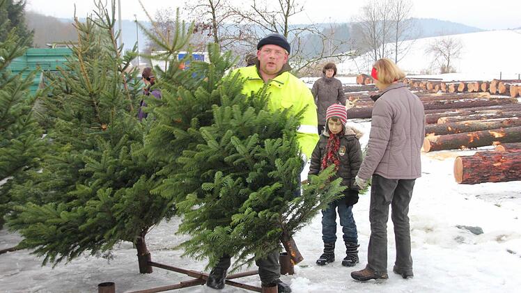 Kleine Bäume, große Stämme - in Rentweinsdorf stand und lag alles bereit.