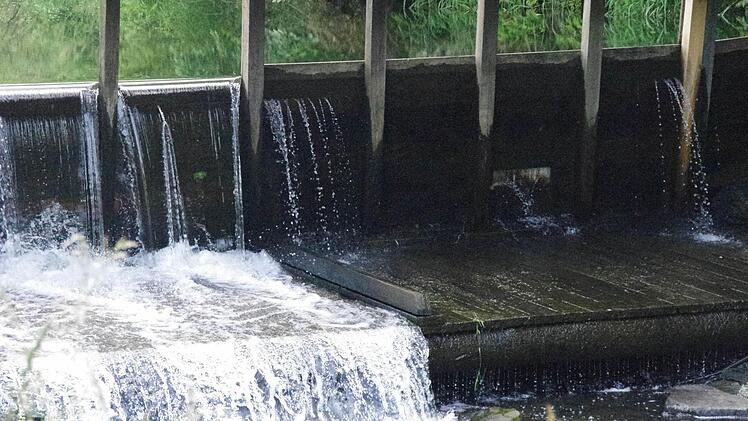 Werner Stumpf zweifelt an den Stau-Methoden der Flößer, Stadt und Flößergemeinschaft sehen sich im Recht.
