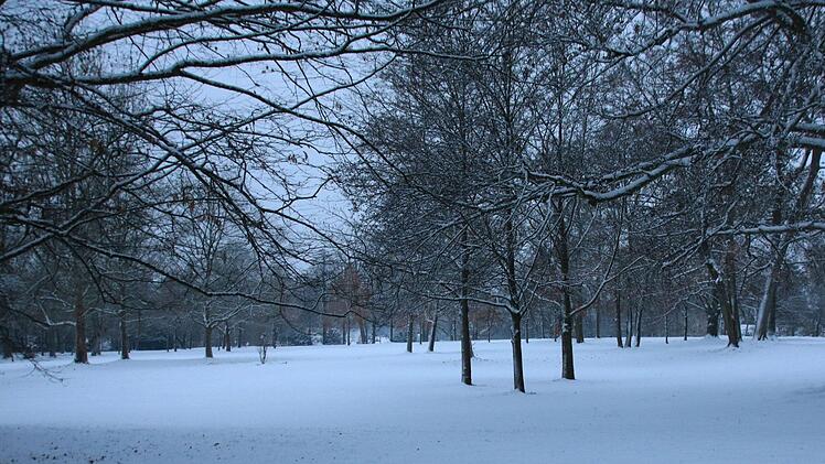 Der erste Schnee: winter-Impressionen aus CoburgFoto: Jochen Berger