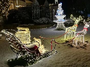 Tierheim Lichtenfels: Spende aus fränkischem Weihnachtshaus bleibt heuer aus - das sind die Gründe