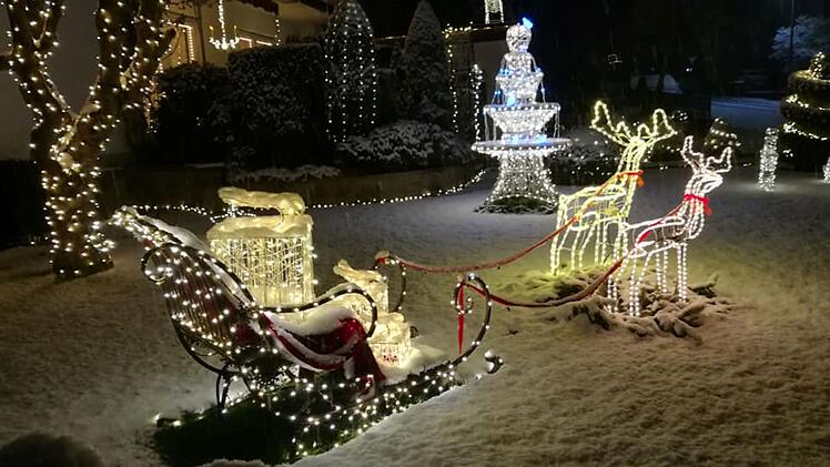 Tierheim Lichtenfels: Spende aus fränkischem Weihnachtshaus bleibt heuer aus - das sind die Gründe