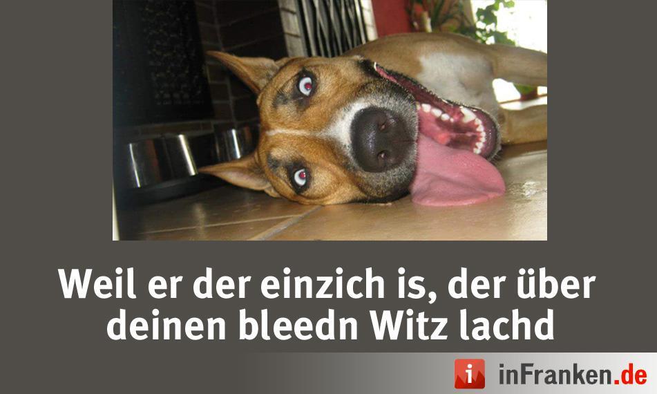 Foto: Andrea Liliput Konrad