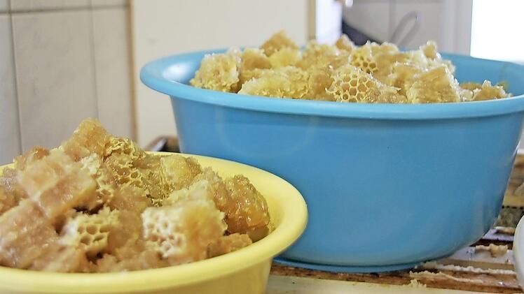 Melezitosehonig l&auml;sst sich nur m&uuml;hsam aus den Waben herausl&ouml;sen. Bei den unbebr&uuml;teten Waben macht Imker Peter Kirchner eine leckere Nascherei daraus: Er schneidet sie in mundgerechte St&uuml;cke, so wird eine s&uuml;&szlig;e Gaumenfreude daraus: "Opa Peters Honig-Kaugummi" - die Enkel naschen's gern.