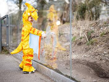 Tiergarten Nürnberg: Freier Eintritt für verkleidete Kinder an Fasching