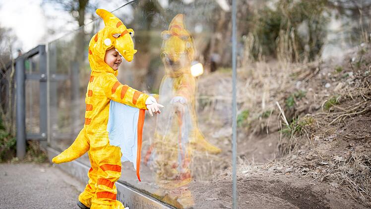 Tiergarten N&uuml;rnberg: Mit diesen Kost&uuml;men haben Kinder freien Eintritt