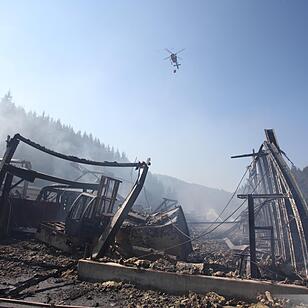 Verwüstung nach Sägewerk-Brand