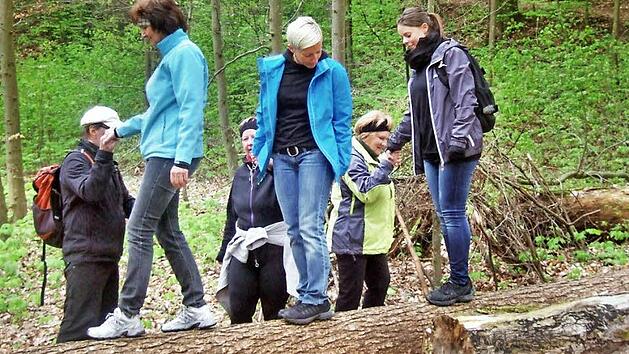 Beim Gesundheitswandern rund um die Festung Rosenberg werden auch kleine &Uuml;bungen gemacht.  Foto: Karl-Heinz Hofmann