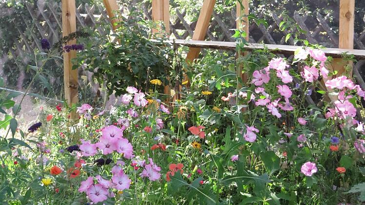 Blick in die Voliere - der Nektar der Blumen dient als Nahrungsquelle. Foto: Doris Bauer