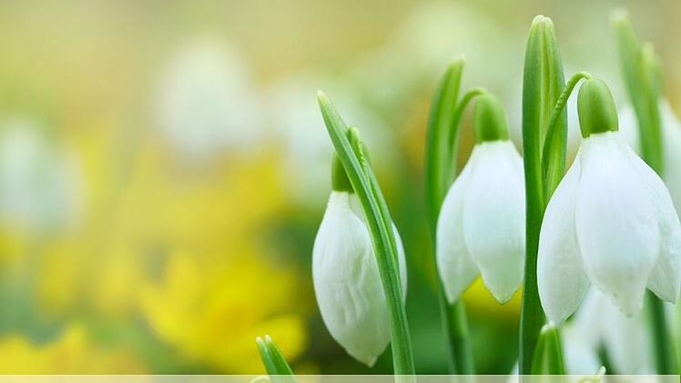 Landkreis Bamberg: "Stille Tage" stehen bevor - wann &ouml;ffentliche Unterhaltungsangebote untersagt sind