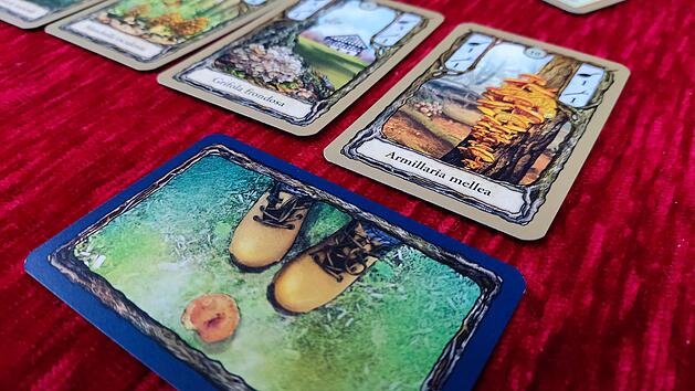 Spiele-Test Fungi: Kartenspiel für zwei Pilzsammler