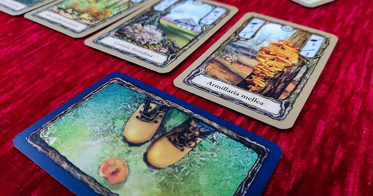 SpieleTest "Fungi" Pilzesammeln im eigenen Wohnzimmer KartenspielTipp für zwei Personen