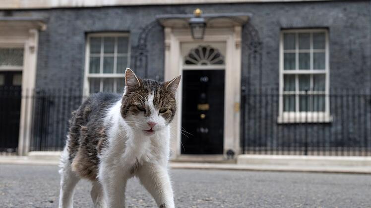 Kater Larry in der Downing Street 10